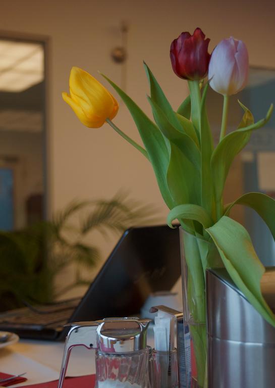 Goethe Hotel Messe By Trip Inn Frankfurt am Main Luaran gambar